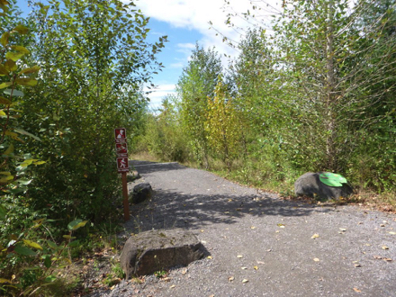 Start of the Gibbons Creek Wildlife Art Trail – wide compacted gravel trail through park – sign about Art Walk Trail